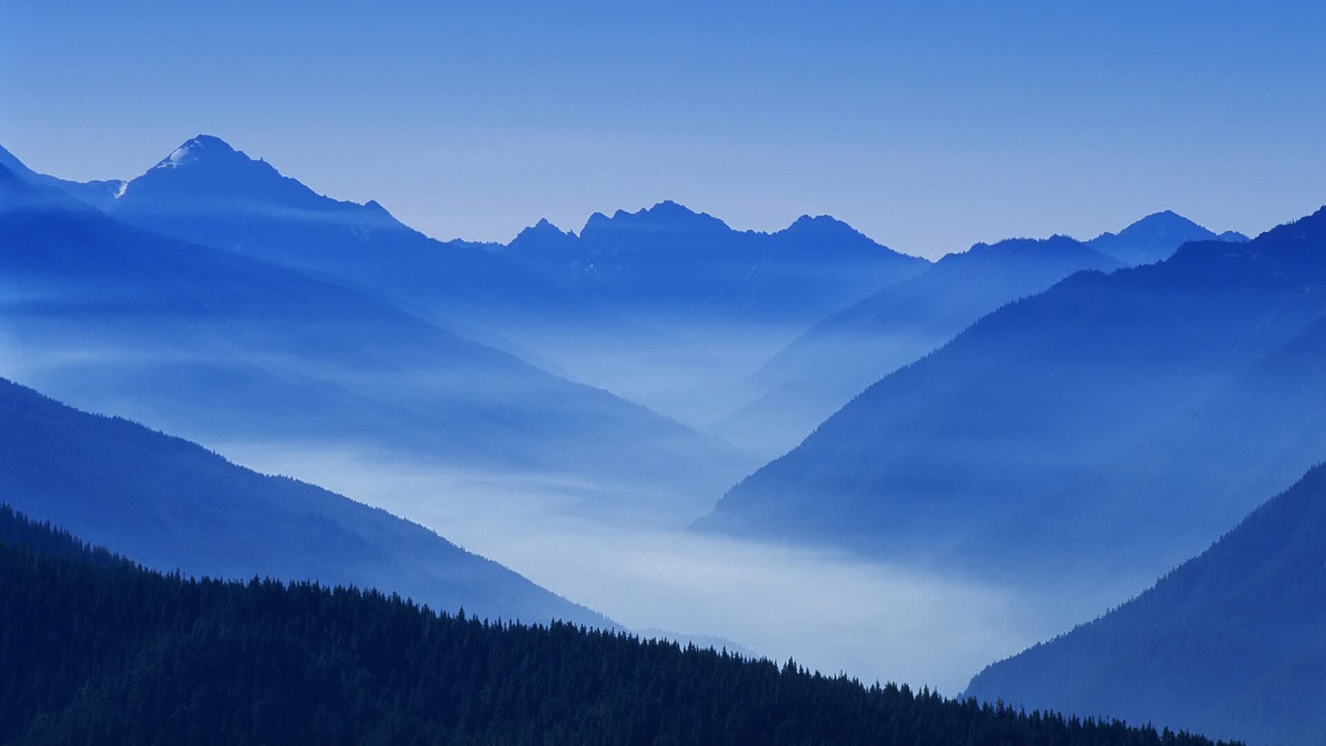 世界游泳赛后选手数据隐私保护方案出台，著名游泳选手